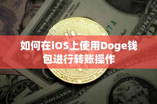 如何在iOS上使用Doge钱包进行转账操作