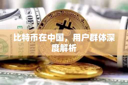 比特币在中国，用户群体深度解析