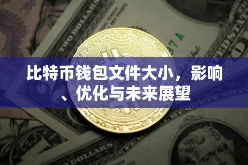 比特币钱包文件大小，影响、优化与未来展望