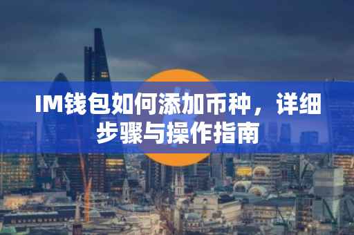 IM钱包如何添加币种，详细步骤与操作指南