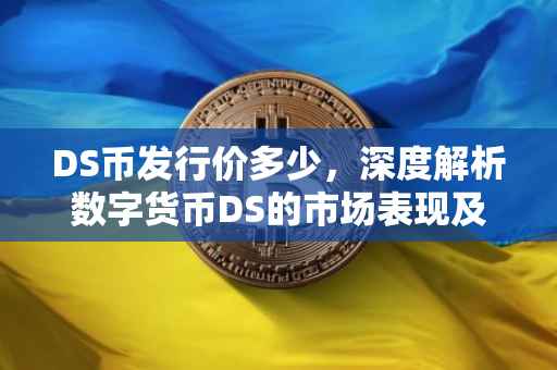 DS币发行价多少，深度解析数字货币DS的市场表现及未来展望