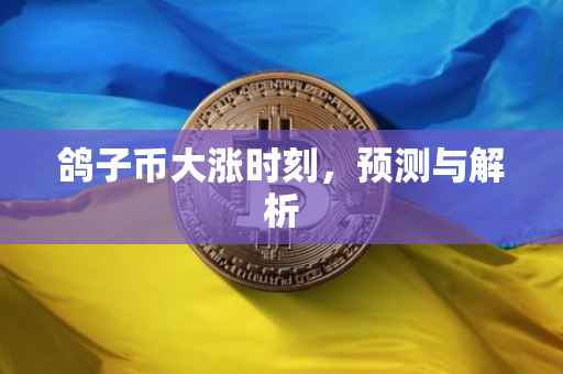 鸽子币大涨时刻，预测与解析
