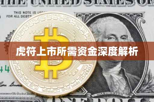 虎符上市所需资金深度解析