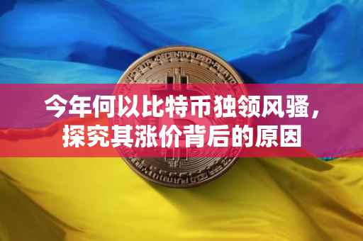 今年何以比特币独领风骚，探究其涨价背后的原因