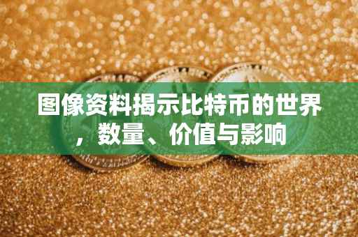 图像资料揭示比特币的世界，数量、价值与影响