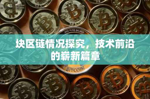 块区链情况探究，技术前沿的崭新篇章