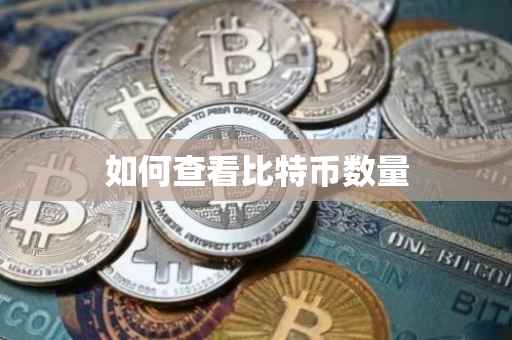 如何查看比特币数量