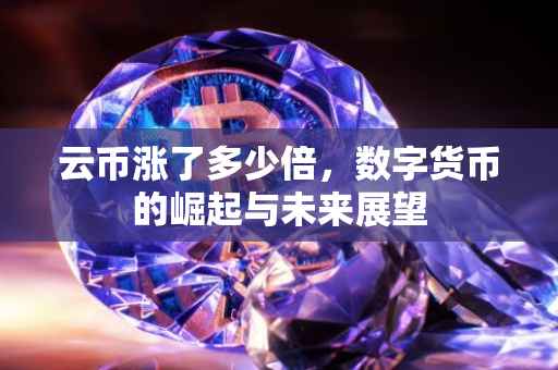 云币涨了多少倍，数字货币的崛起与未来展望