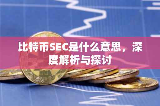 比特币SEC是什么意思，深度解析与探讨