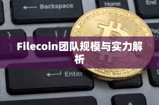 Filecoin团队规模与实力解析