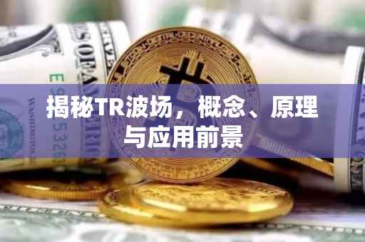 揭秘TR波场，概念、原理与应用前景