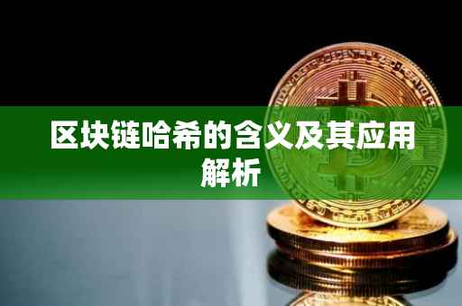 区块链哈希的含义及其应用解析