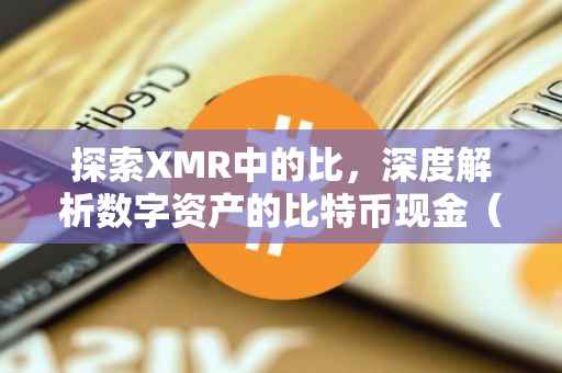 探索XMR中的比，深度解析数字资产的比特币现金（Bitcoin Cash）特性