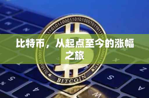 比特币，从起点至今的涨幅之旅