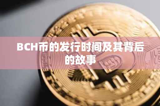 BCH币的发行时间及其背后的故事