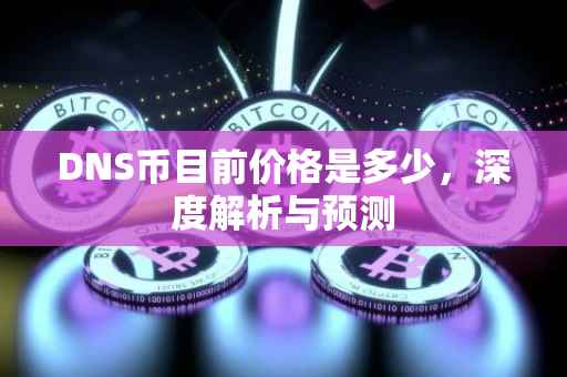 DNS币目前价格是多少，深度解析与预测