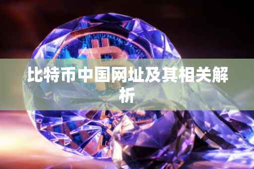 比特币中国网址及其相关解析