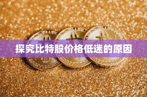 探究比特股价格低迷的原因