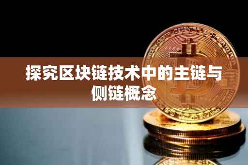 探究区块链技术中的主链与侧链概念