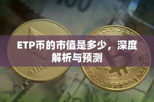 ETP币的市值是多少，深度解析与预测