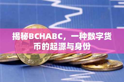 揭秘BCHABC，一种数字货币的起源与身份