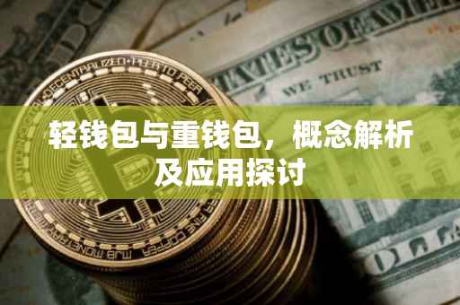 轻钱包与重钱包，概念解析及应用探讨
