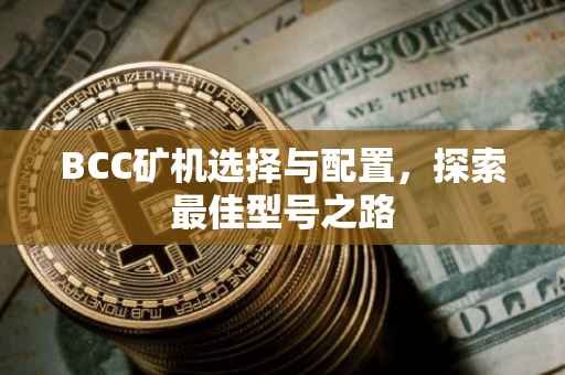 BCC矿机选择与配置，探索最佳型号之路