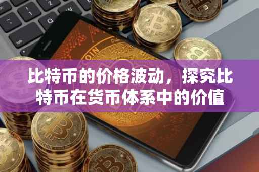 比特币的价格波动，探究比特币在货币体系中的价值