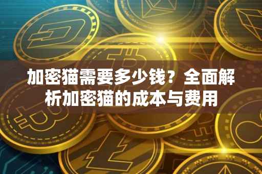 加密猫需要多少钱？全面解析加密猫的成本与费用