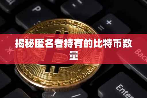 揭秘匿名者持有的比特币数量
