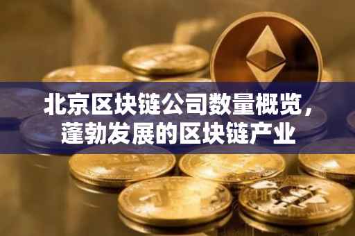 北京区块链公司数量概览，蓬勃发展的区块链产业
