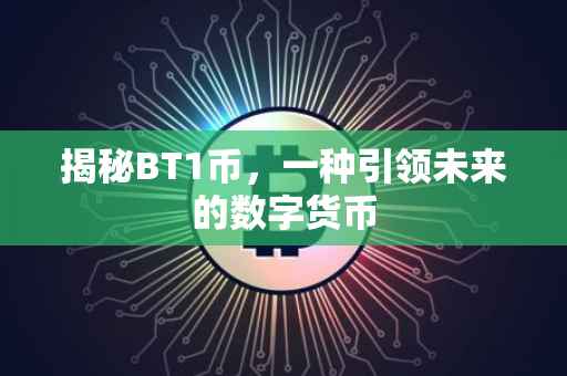 揭秘BT1币，一种引领未来的数字货币