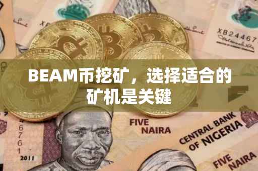 BEAM币挖矿，选择适合的矿机是关键
