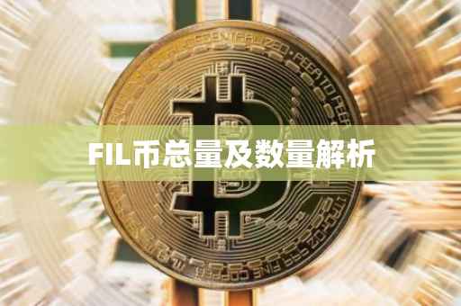 FIL币总量及数量解析
