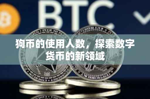 狗币的使用人数，探索数字货币的新领域