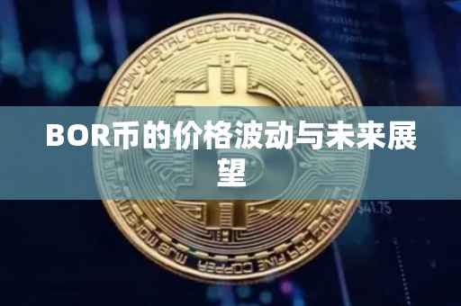 BOR币的价格波动与未来展望