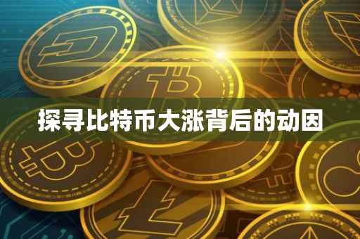探寻比特币大涨背后的动因