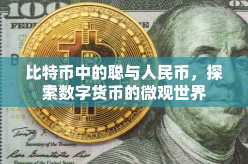 比特币中的聪与人民币，探索数字货币的微观世界