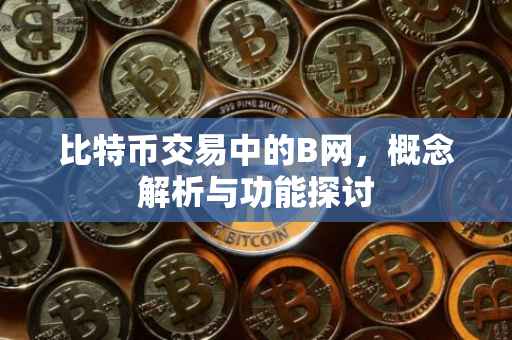 比特币交易中的B网，概念解析与功能探讨