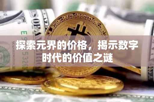 探索元界的价格，揭示数字时代的价值之谜