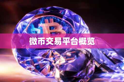 微币交易平台概览