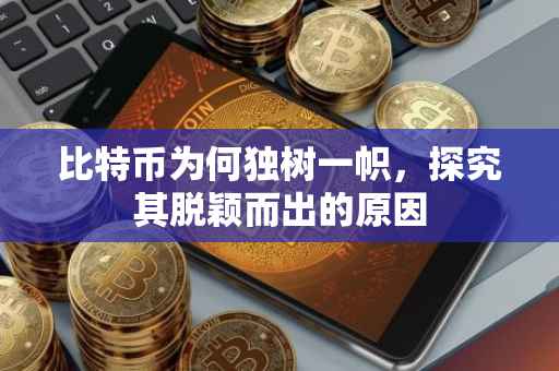 比特币为何独树一帜，探究其脱颖而出的原因