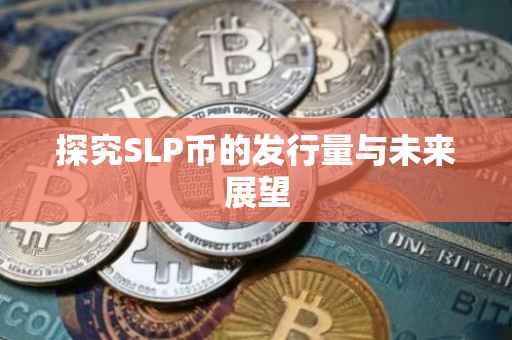 探究SLP币的发行量与未来展望