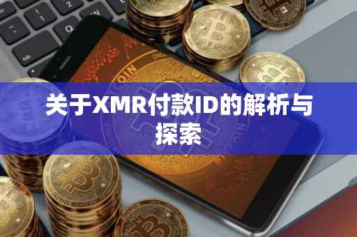 关于XMR付款ID的解析与探索