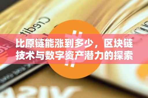 比原链能涨到多少，区块链技术与数字资产潜力的探索