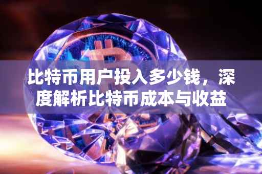 比特币用户投入多少钱，深度解析比特币成本与收益