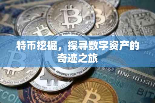 特币挖掘，探寻数字资产的奇迹之旅