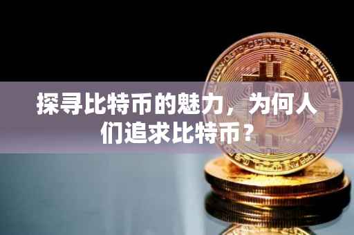 探寻比特币的魅力，为何人们追求比特币？