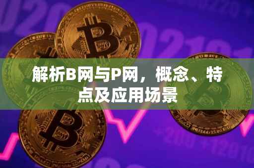 解析B网与P网，概念、特点及应用场景