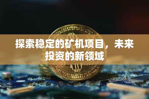 探索稳定的矿机项目，未来投资的新领域